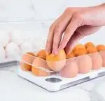 Organizador Clear Fresh Para 18 Ovos - Imagem 4