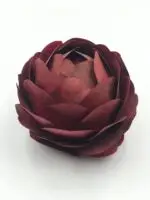 Rosa Folhas Secas Desidratadas Grande