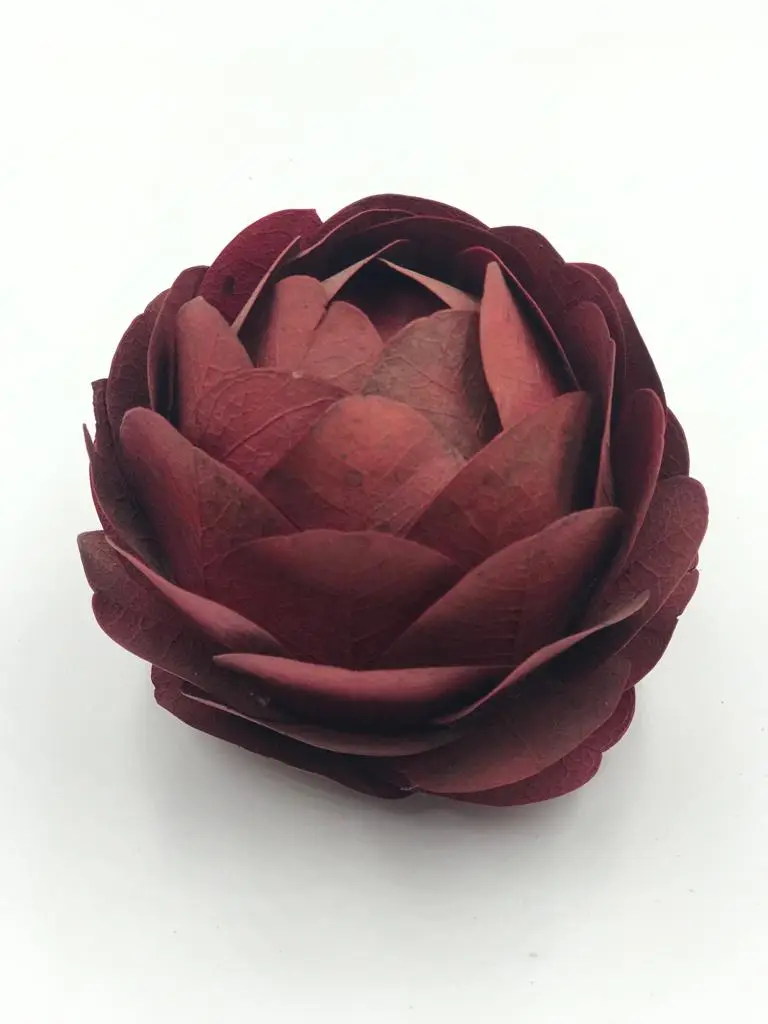 Rosa Folhas Secas Desidratadas Pequena - Imagem 1